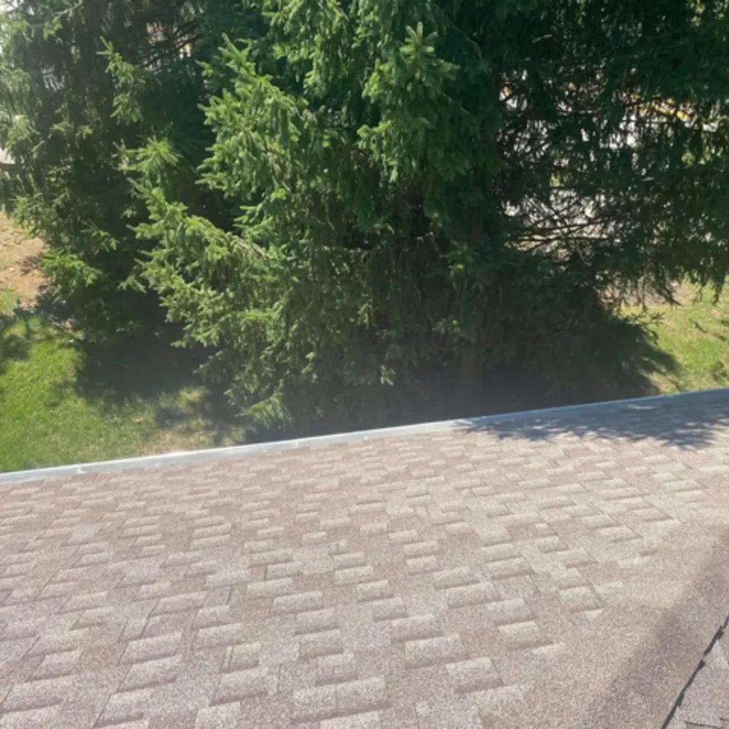 Gutter Cleaning Image Near Me in St. Louis, Missouri