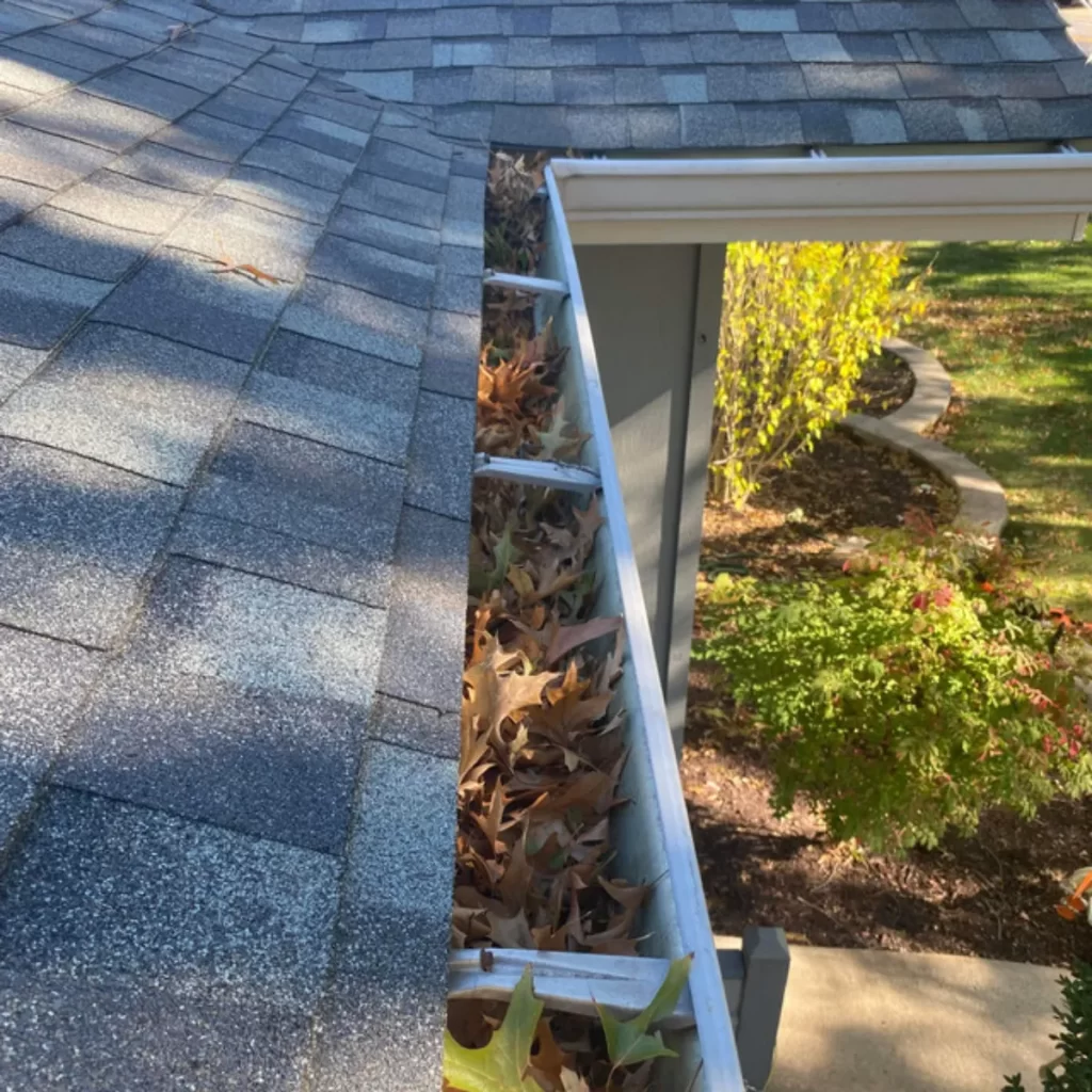 The St. Louis, Missouri office of Morton Gutter Cleaning at work.